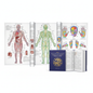 Colour Wall Map Set and Book